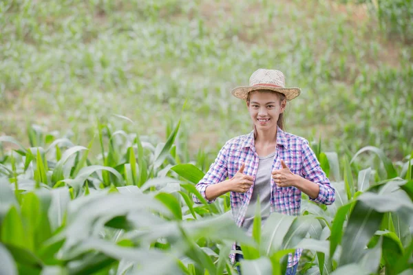 Farmer Standing Cornfield Sunset Watching His Crops Happily — Stock Photo, Image