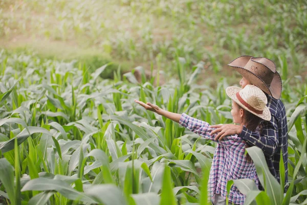 Farmář Jeho Žena Která Stojí Jejich Kukuřičném Šťastně — Stock fotografie