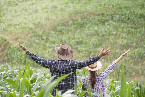 Contadino Sua Moglie Piedi Nel Loro Campo Grano Felicemente — Foto Stock