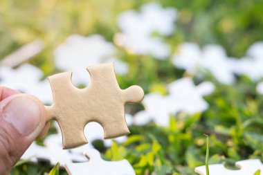 Jigsaw ifşa, karşılaştırmalı kavramı kayıp bir parça ile