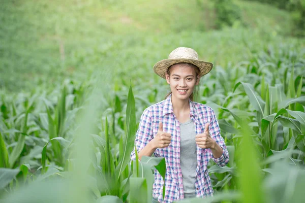 アジアの女の子は立って 彼女のトウモロコシ畑 幸せな農家の概念に笑みを浮かべて — ストック写真