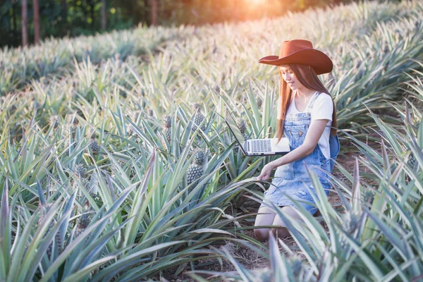 農業研究者は パイナップル植物の成長を研究しています パイナップル農場でラップトップを保持する女性農家アジア — ストック写真