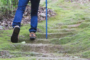 Adam yürüyüşçüler ayakkabılar Close-up. Ormanda bir yol boyunca bir adam girer, dağa tırmanmak için ormanda yürüyüş.