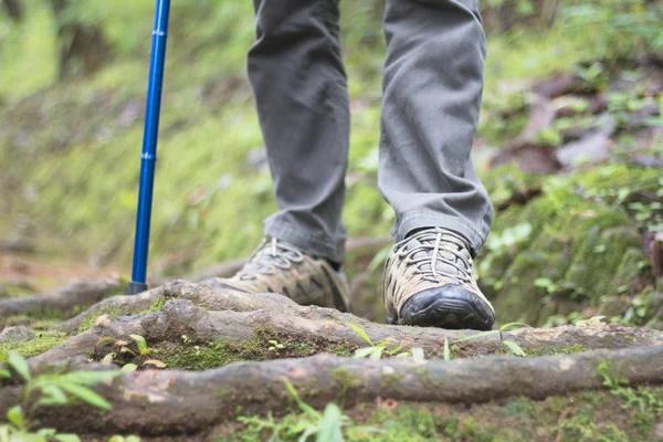 Adam yürüyüşçüler ayakkabılar Close-up. Ormanda bir yol boyunca bir adam girer, dağa tırmanmak için ormanda yürüyüş.