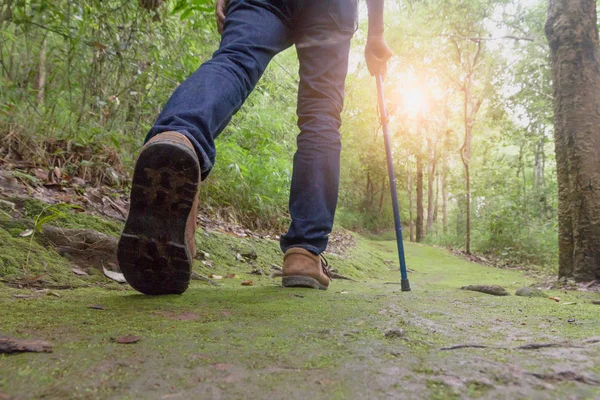 Nahaufnahme Von Wanderschuhen Ein Mann Geht Einen Pfad Wald Entlang — Stockfoto