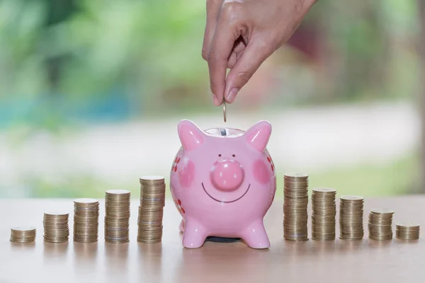 Female hand putting a coin into piggy bank , for invest money, Ideas for saving money for future use, Financial growth and marketing,  Invesment and Risk Management.