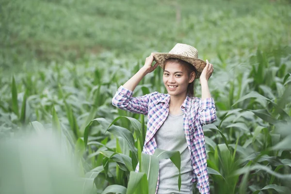 Azjatyckie Dziewczyny Stały Uśmiechając Się Jej Polu Kukurydzy Szczęśliwy Pojęcie — Zdjęcie stockowe