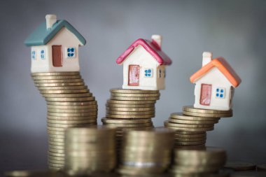 Bozuk para yığını, Yatırım mülkiyeti kavramı, yatırım riski ve emlak piyasasındaki belirsizlik üzerine mini ev.