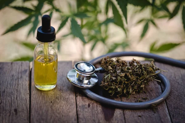 Конопля масло, медицинские продукты марихуаны, включая листья конопли, доктор — стоковое фото