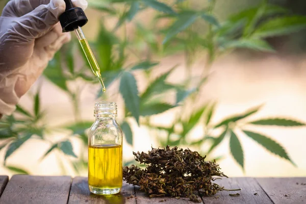 Olio di canapa., Tenuta in mano bottiglia di olio di Cannabis contro la marijuana — Foto Stock