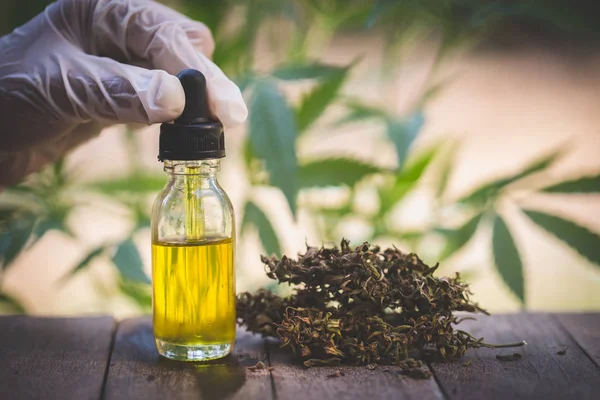 Broad-spectrum CBD olej