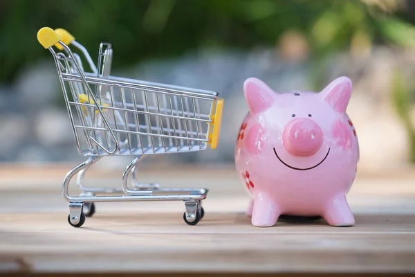 Small supermarket grocery push cart for shopping with piggy bank