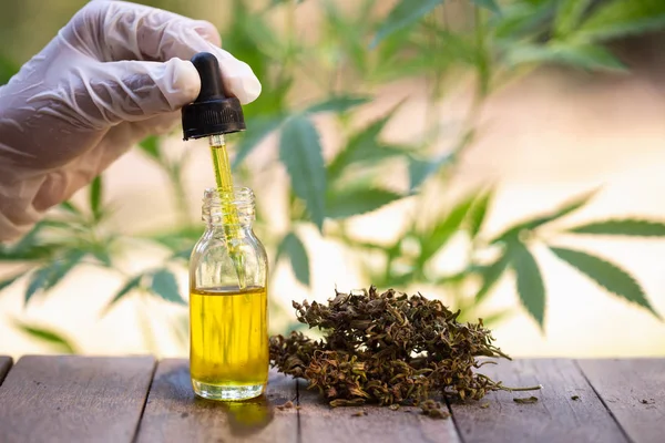 Cannabidiol CBD Cannabis Cáñamo Marihuana medicina — Foto de Stock