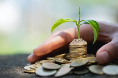 El paralar üzerinde büyüyen bitki ile para yığını korumak. mon kaydetme