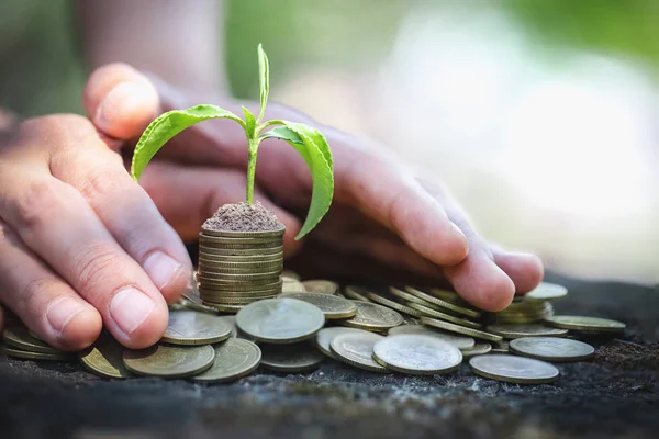 Hand protect money stack with plant growing on coins. saving mon