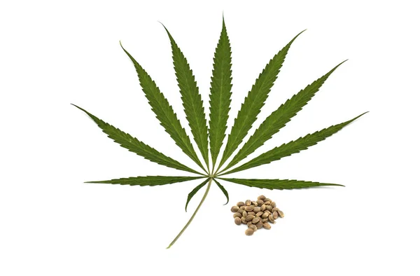 Marijuana blad och hampafrön är n isolerade på vita bakgrun — Stockfoto