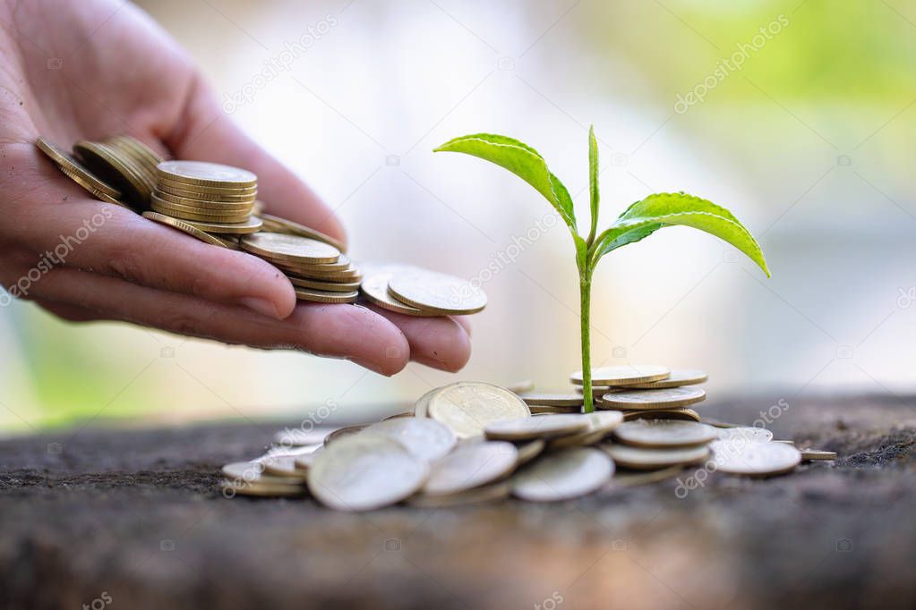 Hand giving a coin to a tree growing from pile of coins.Plant Gr