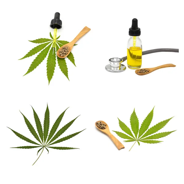 Insamling av CBD hampa olja och cannabisblad isolerade på vit b — Stockfoto