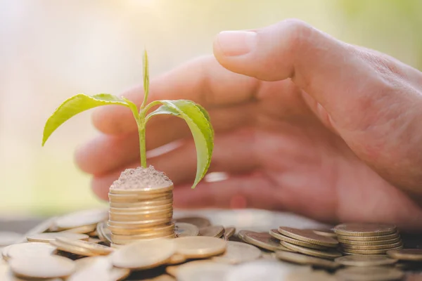 Hand protect money stack with plant growing on coins. saving mon