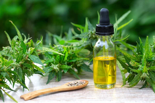 Cbd-Öl Hanfprodukte, medizinisches Cannabis mit Extrakt-Öl in einem — Stockfoto