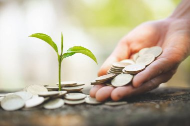 El sikke yığını büyüyen bir ağaca bir sikke vererek. Bitki Gr