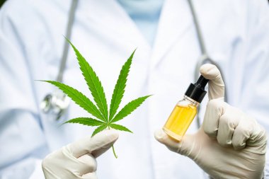 CBD kenevir yağı, doktor el tutun ve hasta tıbbi Mari teklif