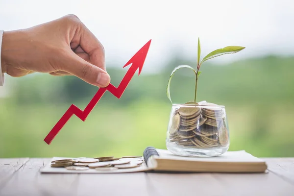 Planta creciendo en frasco de vidrio de monedas para el ahorro de dinero y la inversión — Foto de Stock