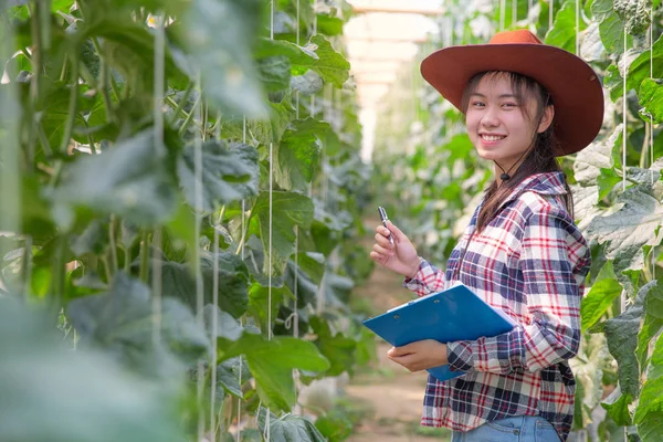 Asian girl farmers smiling happily on the Melon Farm, Agricultur — Stock Photo, Image