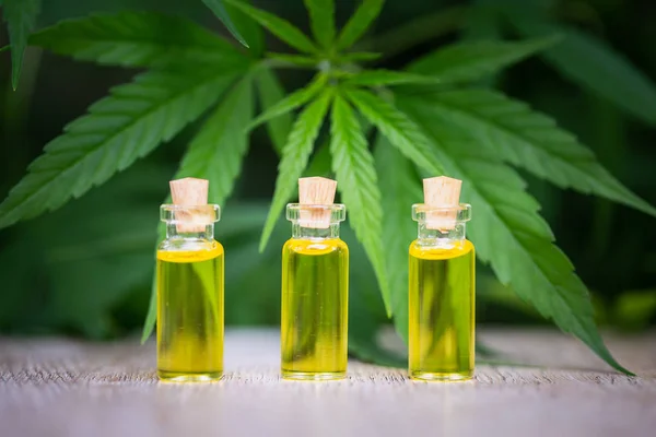 Hemp oil, Marijuana oil bottle, cannabis oil extracts in jars, m — Stock Photo, Image