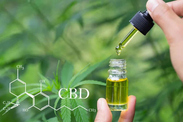 CBD hampa olja, formula CBD Cannabidiol, Doktor hand Hold och Offe — Stockfoto