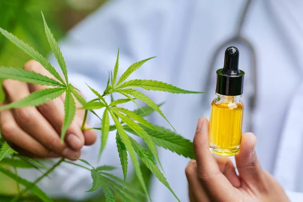 Co je to CBD olej?