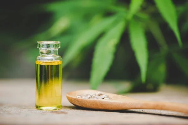 Sementes de cannabis e óleo de CBD extrato de cannabis, bac folha de cânhamo verde — Fotografia de Stock