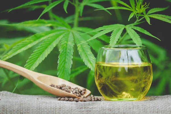 Hemp seeds and hemp oil in a glass jar on a green marijuana leaf