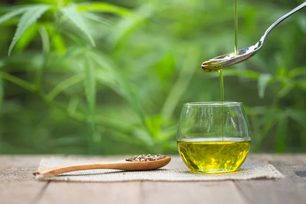 Verter aceite de cáñamo en la cuchara y semillas de cáñamo en una cuchara de madera en —  Fotos de Stock