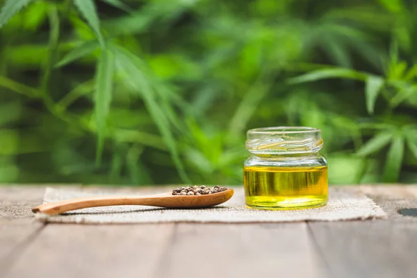 Cannabis-Samen und cbd-Öl Cannabis-Extrakt, grünes Hanfblatt bac — Stockfoto
