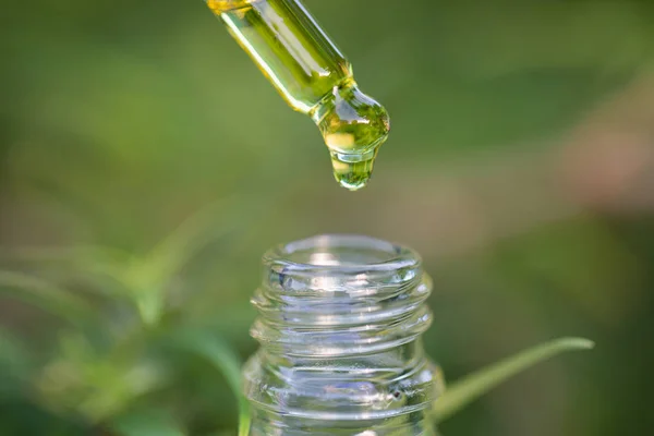 Tropfen Hanföl in eine Glasflasche, cbd Hanföl, Konzept der h — Stockfoto