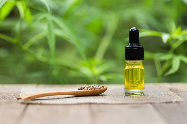 CBD Óleo de cânhamo, maconha e óleo de cannabis em mesa de madeira , — Fotografia de Stock