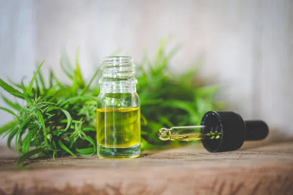 Cannabis, cannabis oil extracts in jars, medical marijuana. CBD — Stock Photo, Image