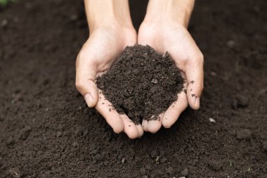 Üst Manzara. Toprağı elinde tutan çiftçi. Araştırmacılar kontrol ediyor.