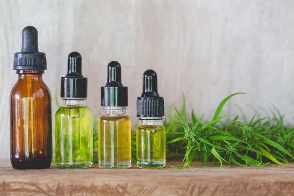 CBD produits à base d'huile de chanvre, huile de cannabis contre la plante de marijuana. H — Photo