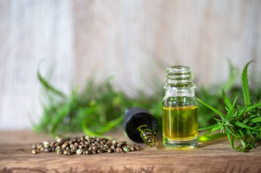 Kenevir tohumu ve Cbd yağı kenevir özü, yeşil kenevir yaprağı bak