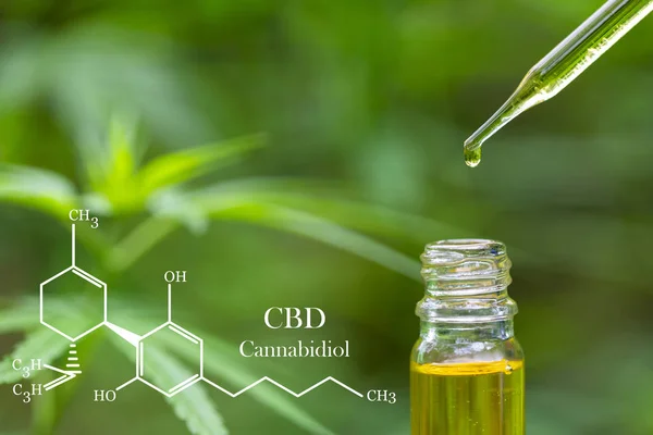 Cbd elementen in Cannabis, hennepolie in een glazen pot, Concept van — Stockfoto