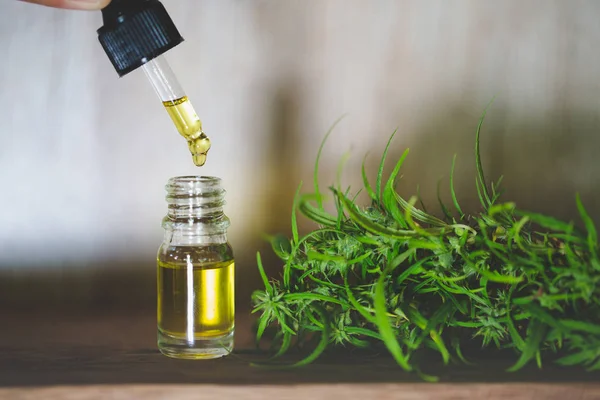 Cbd cannabisolie. hennepproduct, fles cannabis in de hand — Stockfoto