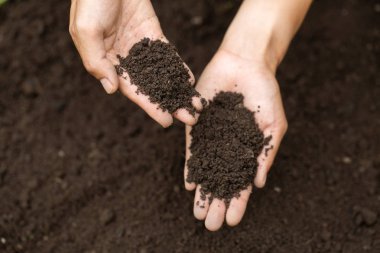 Üst Manzara. Toprağı elinde tutan çiftçi. Araştırmacılar kontrol ediyor.