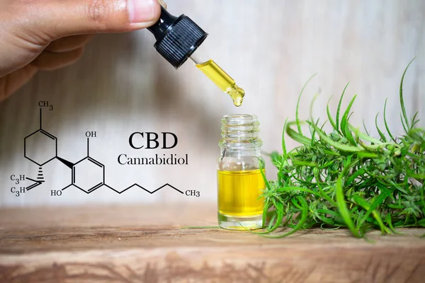 Cbd elementen in Cannabis, druppel doseren van een biologische en ecolo — Stockfoto