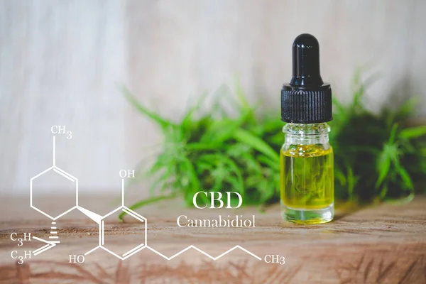 Cbd elementen in Cannabis, hennepolie extracten in potten, medisch ma — Stockfoto