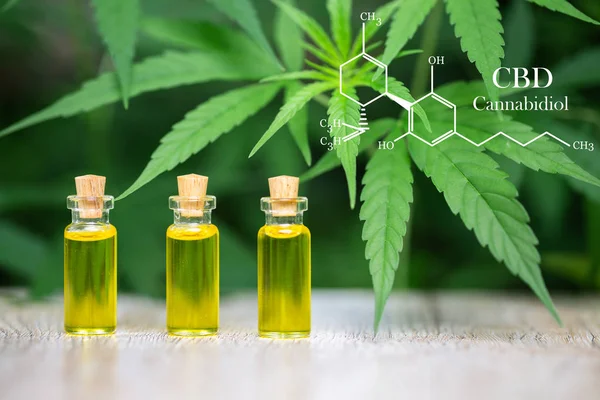 Cannabidiol CBD Oil Chemical Formula. Cultivo de marihuana Premium — Foto de Stock