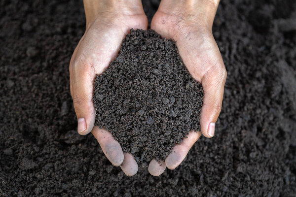 Top view. Farmer holding soil in hands.  The researchers check the quality of the soil.  Agriculture, gardening or ecology concept layout , copy space.