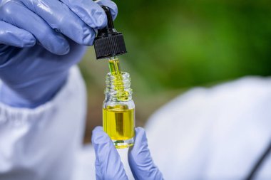  Doktor elinde bir şişe kenevir yağı, kenevir yaprağı, cbd ve haşhaş yağı, alternatif ilaç ya da ilaç konsepti içeren tıbbi marihuana ürünleri tutuyor..