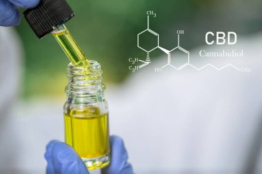 Kenevir 'deki CBD elementleri, bir kavanozdan biyolojik ve ekolojik kenevir bitkisinin bitkisel cbd yağına ilaç veren damlacık. Bitkisel alternatif tıp kavramı.